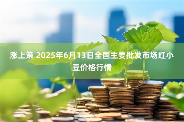 涨上策 2025年6月13日全国主要批发市场红小豆价格行情