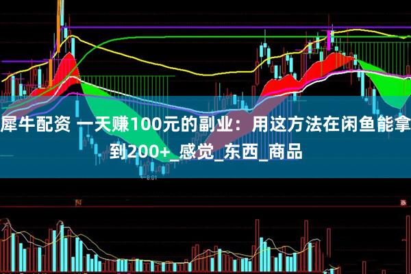 犀牛配资 一天赚100元的副业：用这方法在闲鱼能拿到200+_感觉_东西_商品