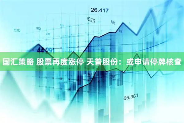 国汇策略 股票再度涨停 天普股份：或申请停牌核查