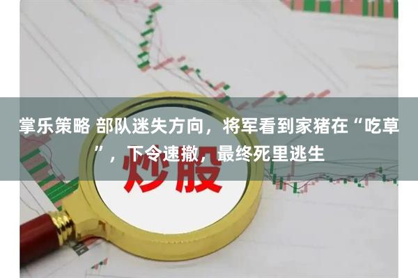 掌乐策略 部队迷失方向，将军看到家猪在“吃草”，下令速撤，最终死里逃生