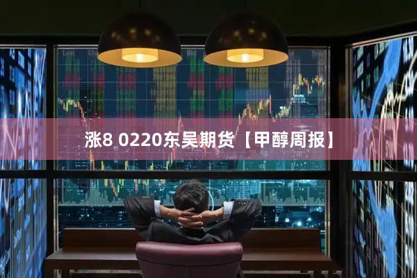 涨8 0220东吴期货【甲醇周报】