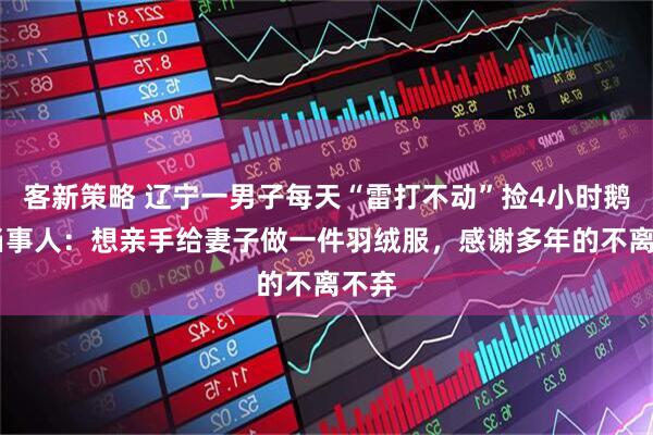 客新策略 辽宁一男子每天“雷打不动”捡4小时鹅绒 当事人：想亲手给妻子做一件羽绒服，感谢多年的不离不弃